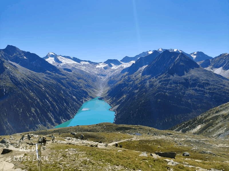 Vistes als alps Zillertaler a Àustria