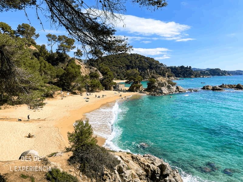 Cala Treumal