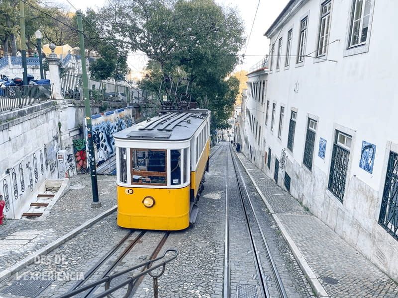 Elevador de Glória