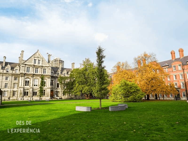 Trinity College